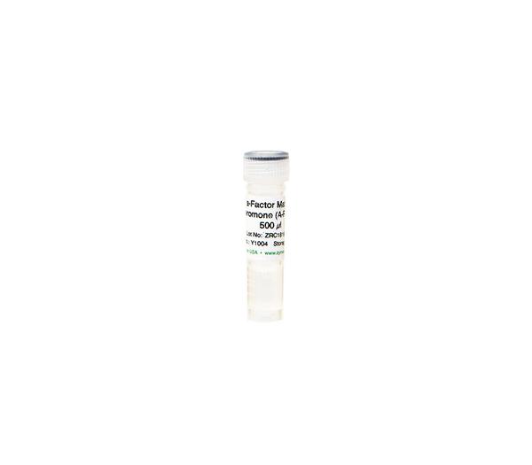 Alpha-Factor Mating Pheromone